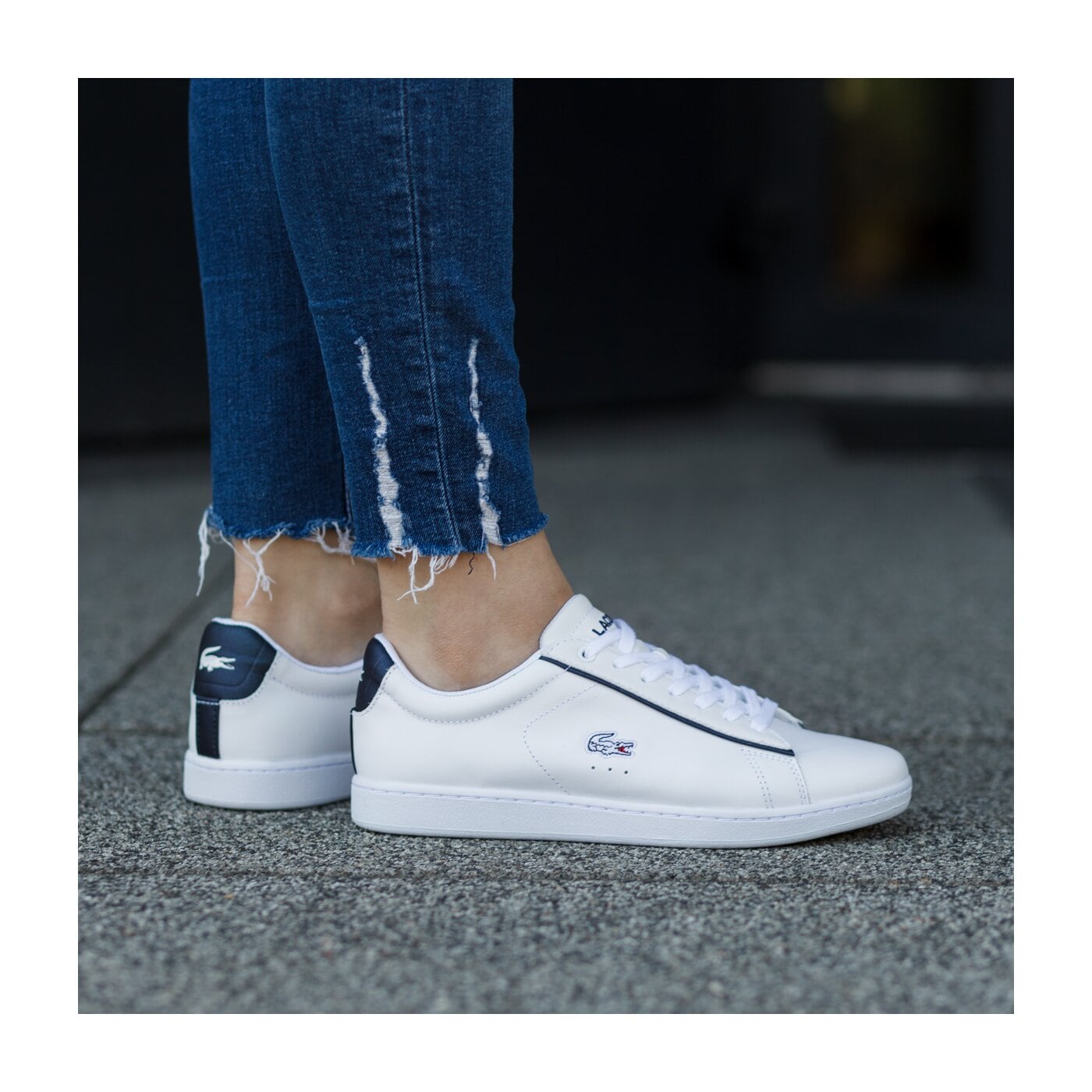 Lacoste carnaby hotsell evo 217