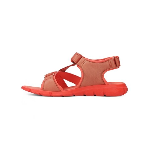 Dziecięce sandały / klapki ECCO INTRINSIC SANDAL 70554250232 kolor czerwony